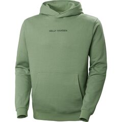 Helly Hansen Core Graphic Sweat Hoodie 408 Jade 2.0 53924_408-XL