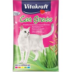 Vitakraft VITAKRAFT CAT GRASS nasiona trawy przysmak dla kota 50g