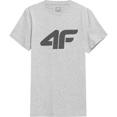 4f T-shirt męski 4F Koszulka z nadrukiem SZARA XXL 12703680 5904698055661