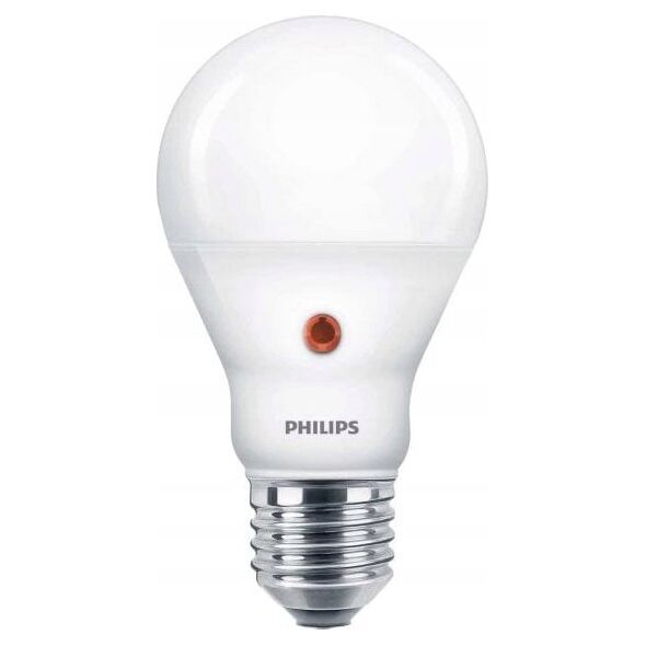 Philips PHILIPS žárovka LED D2D 60W A60 E27 CW FR ND SRT4