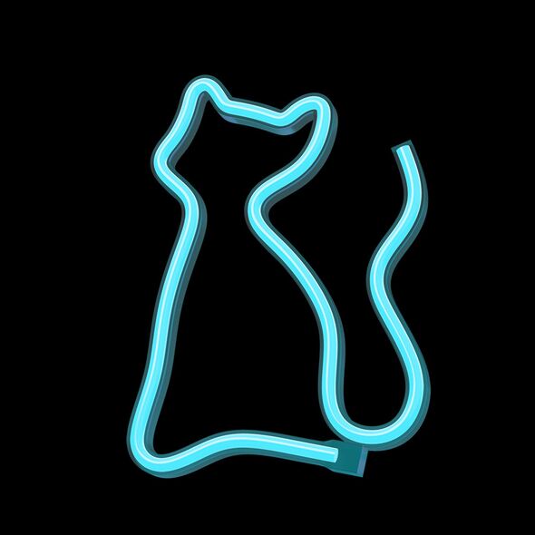 Neon LED Light CAT turquoise NNE24 Neolia 5907457773479