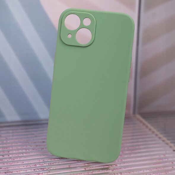 Mag Invisible case for iPhone 12 6,1&quot;  pistachio