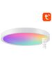 Gosund Smart ceiling light 30cm WiFi/Bluetooth 16M RGBCW Gosund LB12 1920lm 068847  LB12 έως και 12 άτοκες δόσεις 6977038680358