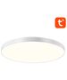 Gosund Inteligentna lampa sufitowa 32cm WiFi/Bluetooth 16M RGBCW Gosund LB11 1920lm + Remote 068849  LB11 έως και 12 άτοκες δόσεις 6977038680341