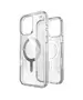 Case Speck Presidio Perfect-Clear Grip MagSafe Apple iPhone 16 Pro Max (Clear / Chrome Finish / Serene Silver) SPK672 840168543625