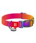 Waudog Nylon dog collar with QR code WAUDOG 15 mm wide, 25-35 cm long orange 072185  46524 έως και 12 άτοκες δόσεις 4823089365527