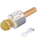 Wireless Microphone for Karaoke with Playback Controller gold 5904161107309