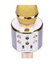 Wireless Microphone for Karaoke with Playback Controller gold 5904161107309