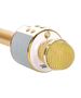 Wireless Microphone for Karaoke with Playback Controller gold 5904161107309