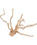 Zolux Korzeń japoński Spider Wood 10-30 cm 9598247 3336023560502