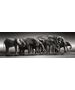 Clementoni Puzzle 1000 elementów Panorama High Quality Herd of Giants 13244882 8005125398362