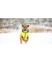 DOGGY L 65 KURTKA AIRYVEST DWUSTRONNA JASNOZIELONA + NIEBIESKA 13940780 5902414551527