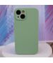 Mag Invisible case for iPhone 14 Pro Max 6,7&quot;  pistachio