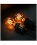 LED Bulb Filament E27 A60 4W 230V 2000K 250lm SF smoked Forever Light