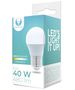 LED Bulb E27 G45 6W 230V 6000K 480lm Forever Light