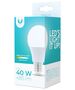 LED Bulb E27 A60 6W 230V 4500K 485lm Forever Light