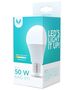 LED bulb E27 A60 8W 230V 3000K 640lm Forever Light