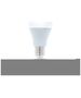 LED bulb E27 A60 10W 230V 6000K 806lm Forever Light