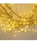 String Light GOLDEN TWIG CLF-03 480LED warm white 3m + 5m Forever Light