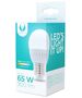 LED bulb E27 G45 10W 230V 6000K 900lm ceramic Forever Light 5900495840035