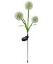 SUNARI Solar Lamp LED FLS-95 Garlic flower 3000K 600mAh Li-Ion Forever Light 5907457717480