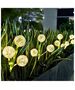 SUNARI Solar Lamp LED FLS-95 Garlic flower 3000K 600mAh Li-Ion Forever Light 5907457717480