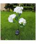 SUNARI Solar Lamp LED FLS-93 Hydrangeas 3000K 600mAh Li-Ion Forever Light 5907457717466