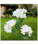 SUNARI Solar Lamp LED FLS-93 Hydrangeas 3000K 600mAh Li-Ion Forever Light 5907457717466