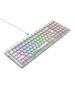 Mechanical Gaming Keyboard Havit KB875L Transparent 6939119045999