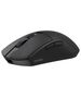 Dareu Dareu A950 Pro Tri Mode Wireless Mouse Black 066214  A950 Pro έως και 12 άτοκες δόσεις 6950589916176