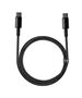 Baseus Tungsten Gold Cable Type-C to Type-C 100W 2m (black) 6953156232068