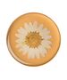 Popsockets PopSockets - PopTop - Pressed Flower Daisy White 0842978150130 έως 12 άτοκες Δόσεις