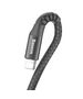 Baseus Spring-loaded cable Lightning 1m 2A (black) 6953156277397