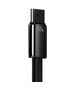 Baseus Tungsten Gold Cable USB to USB-C, 100W, 1m (black) 6932172618087