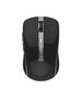 Wireless mouse  Havit MS951GT (black) 6950676256345